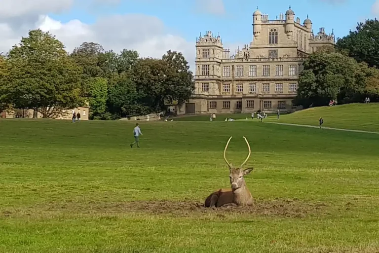 Visitors to be charged to enter Wollaton Hall and museum