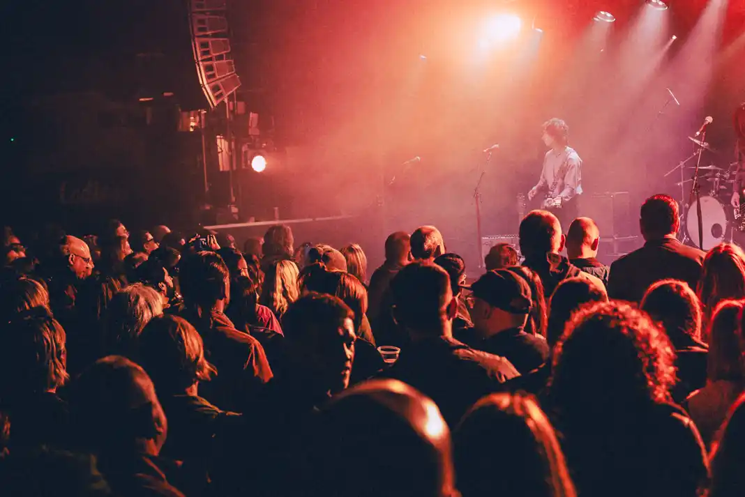 Crowd enjoying live music performance.