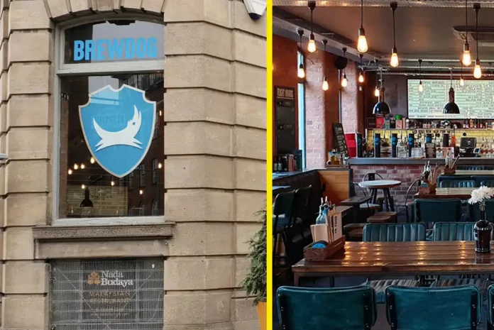 Brewdog bar interior with logo