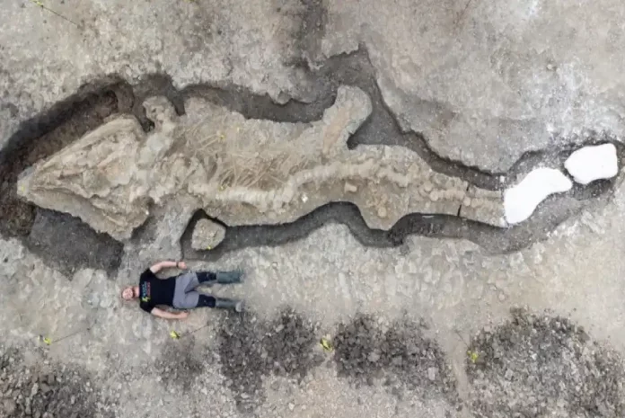 rutlandseamonster Fossilized creature outline with person