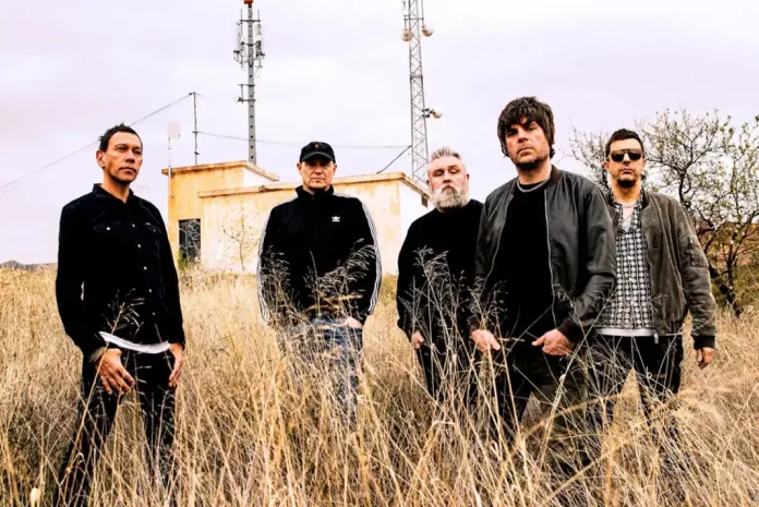 Shed Seven band posing in tall grass