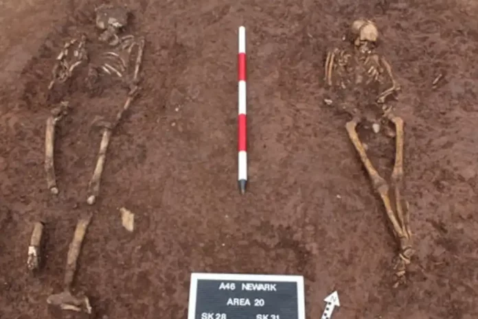 two skeletons in archaeological excavation